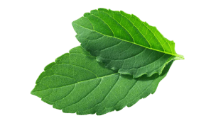 Ramatulsi