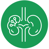 Individuals Seeking Kidney Wellness Support