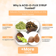 Life Aveda Acid-O-Flux Syrup Health Ingredients