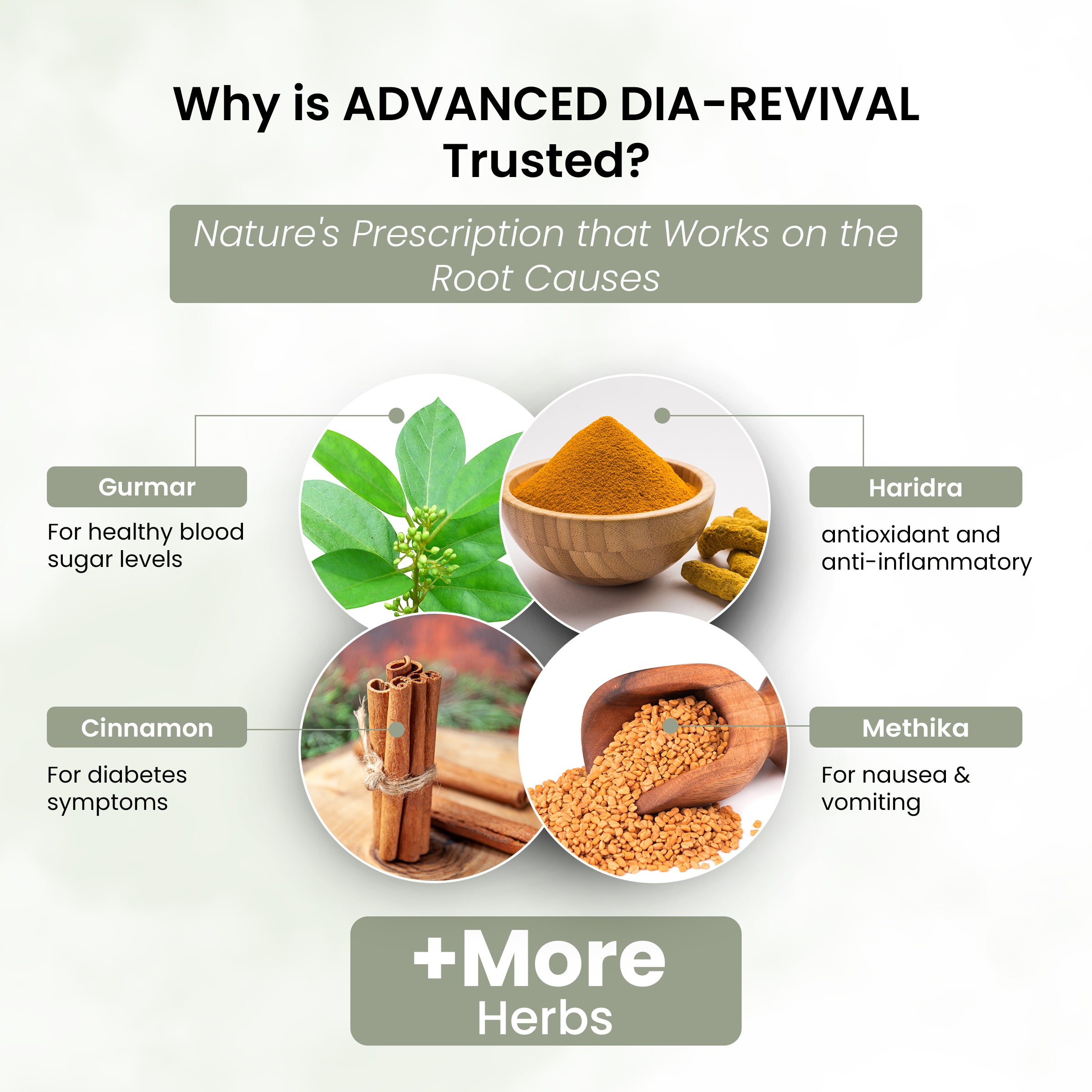 Life Aveda Advanced Dia-revival Ingredients