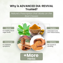 Life Aveda Advanced Dia-revival Ingredients