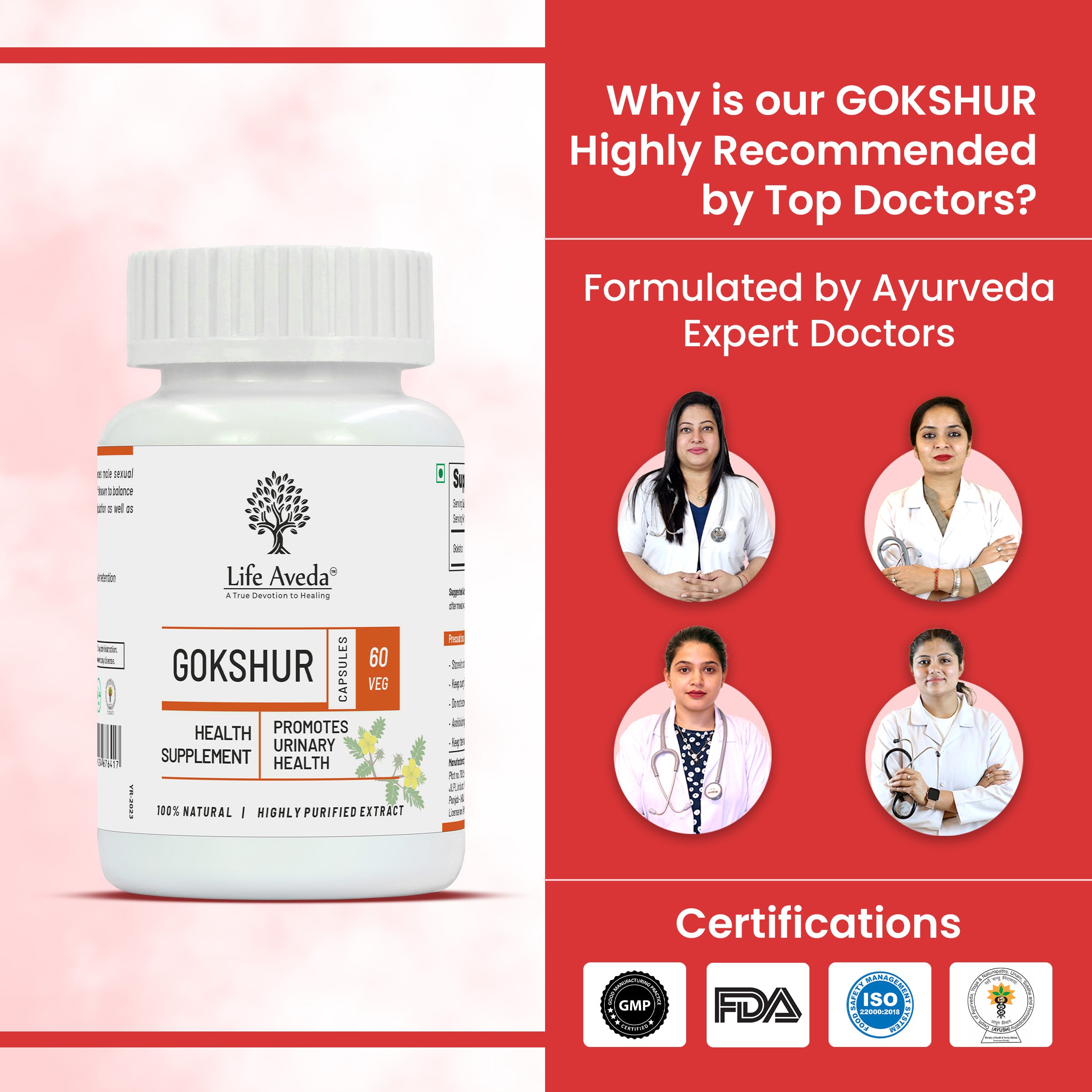Life Aveda Gokshur Doctors Certifications