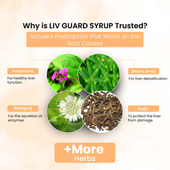 Life Aveda Liv Guard Syrup Ingredients