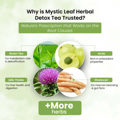 Life Aveda Mystic Leaf Herbal Detox Tea Ingredients