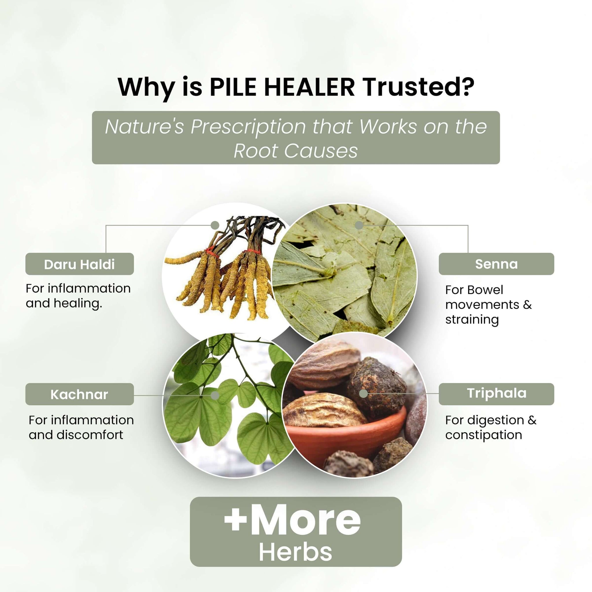 Life Aveda Pile Healer Ingredients
