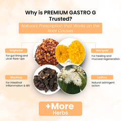 Life Aveda Premium Gastro G Capsules Ingredients