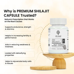Life Aveda Premium Shilajit Capsule  Benefits
