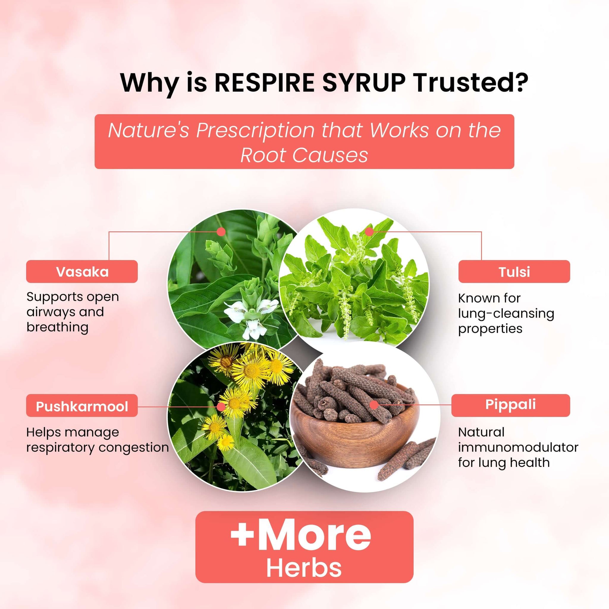 Life Aveda Respire Ingredients