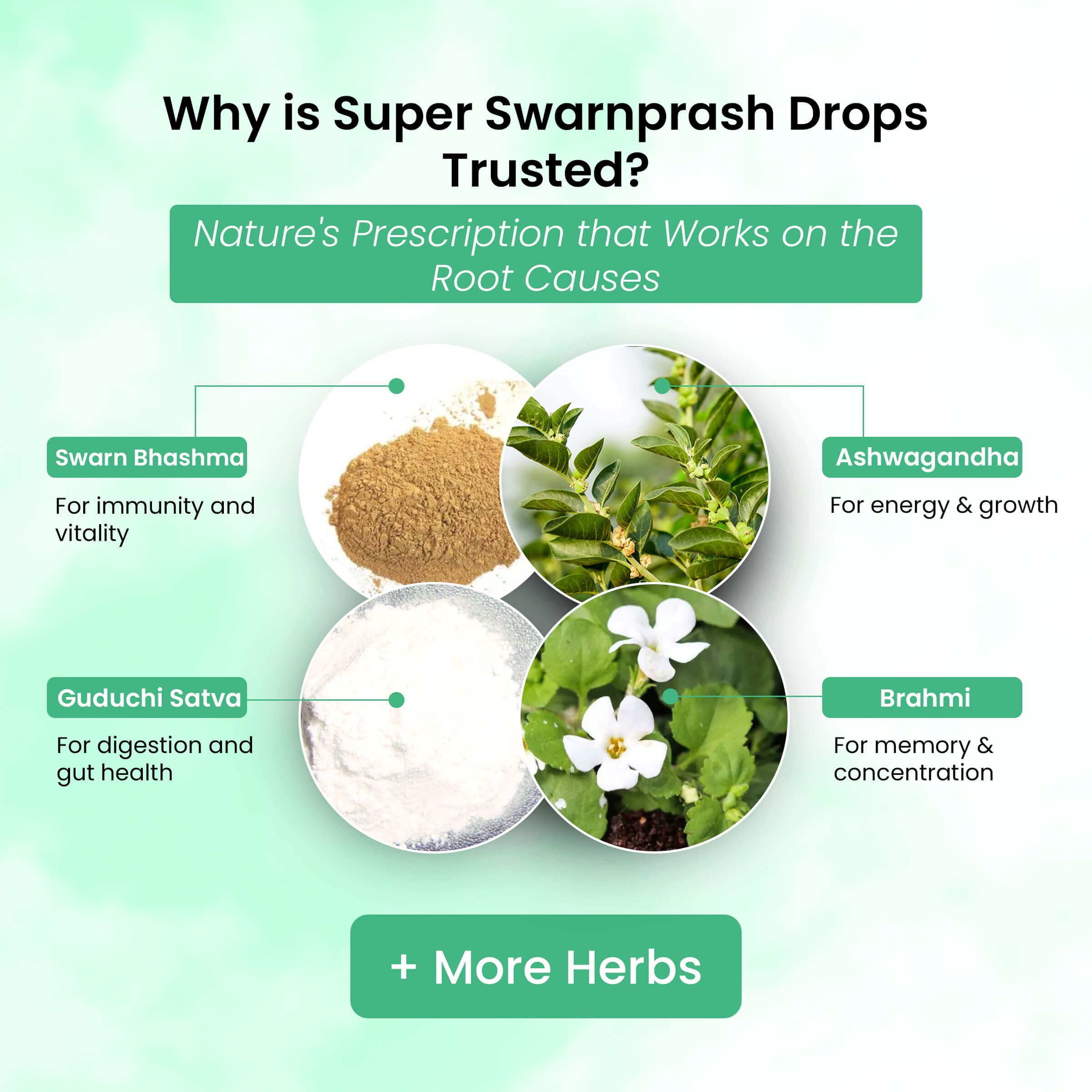 Life Aveda Super Swarnprash Drops Ingredients