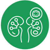 Anyone Seeking Long-Term Kidney Wellness Support