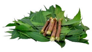 Neem