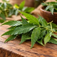 Neem