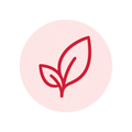 Extract-Based
