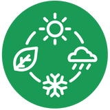 People seeking seasonal wellness support